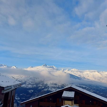 Appartement Aux Coches 6 Personnes 1 Chambre 23M2 8 Couchages La Plagne Zewnętrze zdjęcie